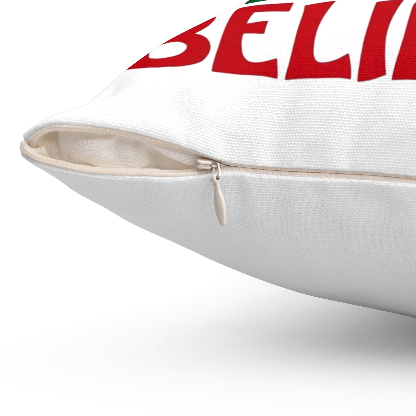Christmas Pillow - “This Family Believes” Nativity Decorative Throw Pillow