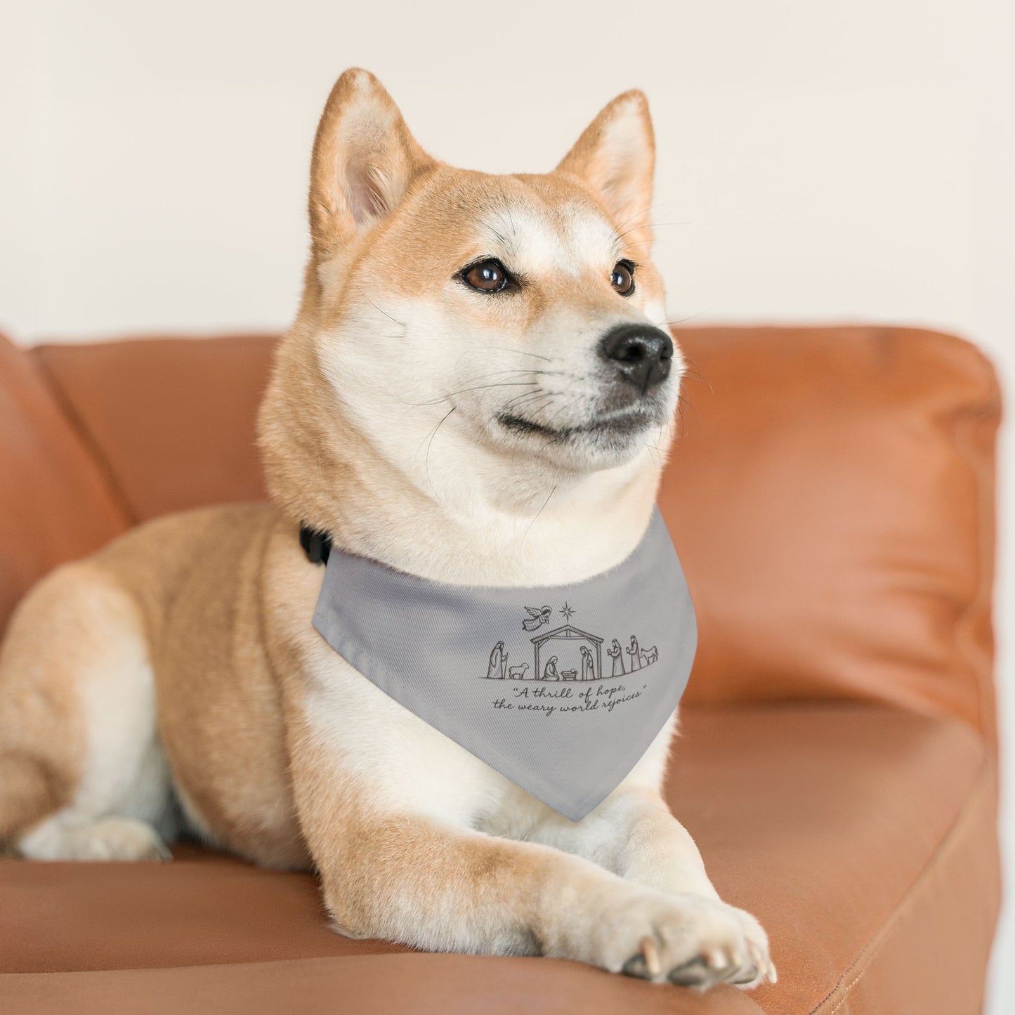 Pet Bandana Collar — 'A Thrill of Hope' Animal Bandana for Dogs & Cats