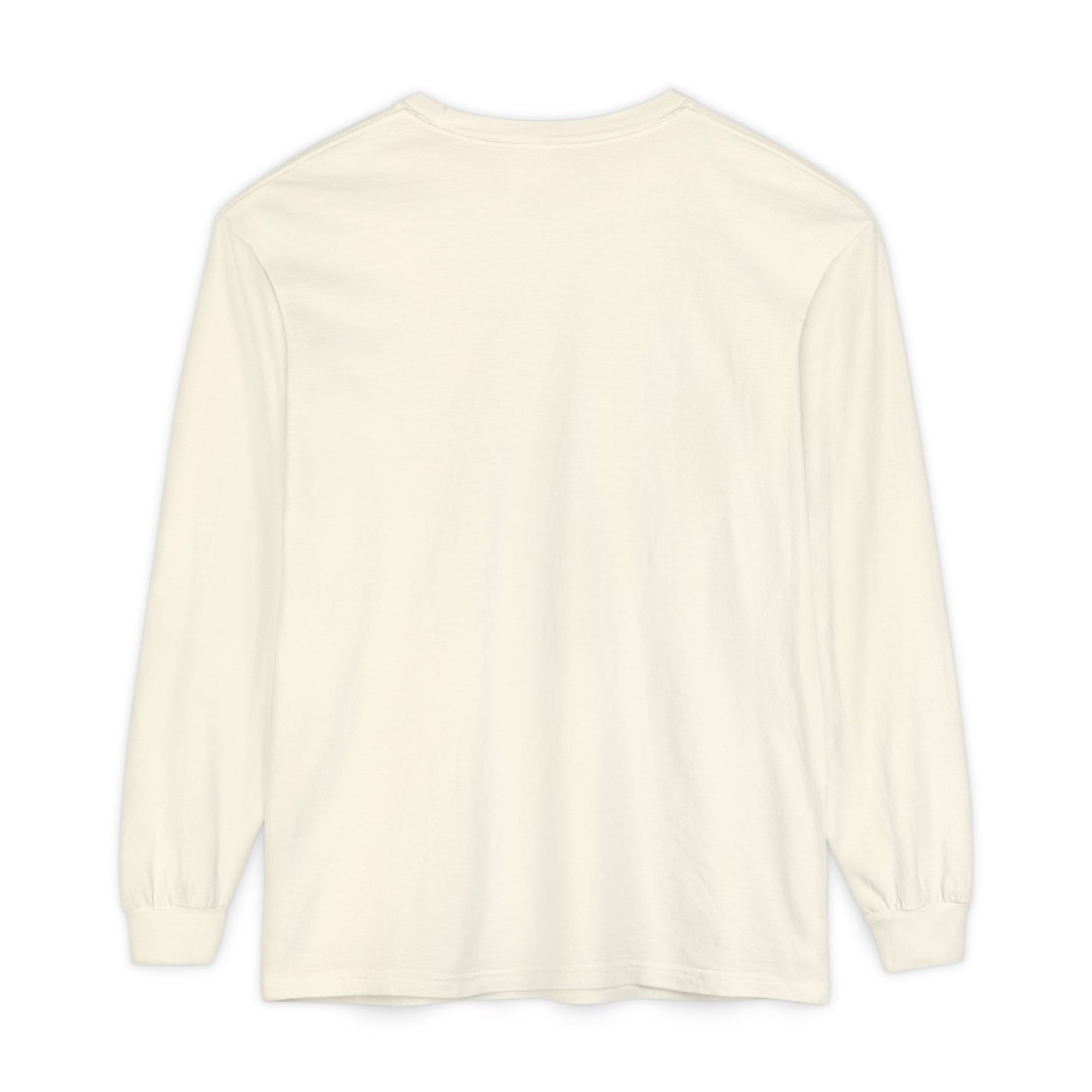 This Family Believes long sleeve shirt | Christmas nativity baby Jesus design