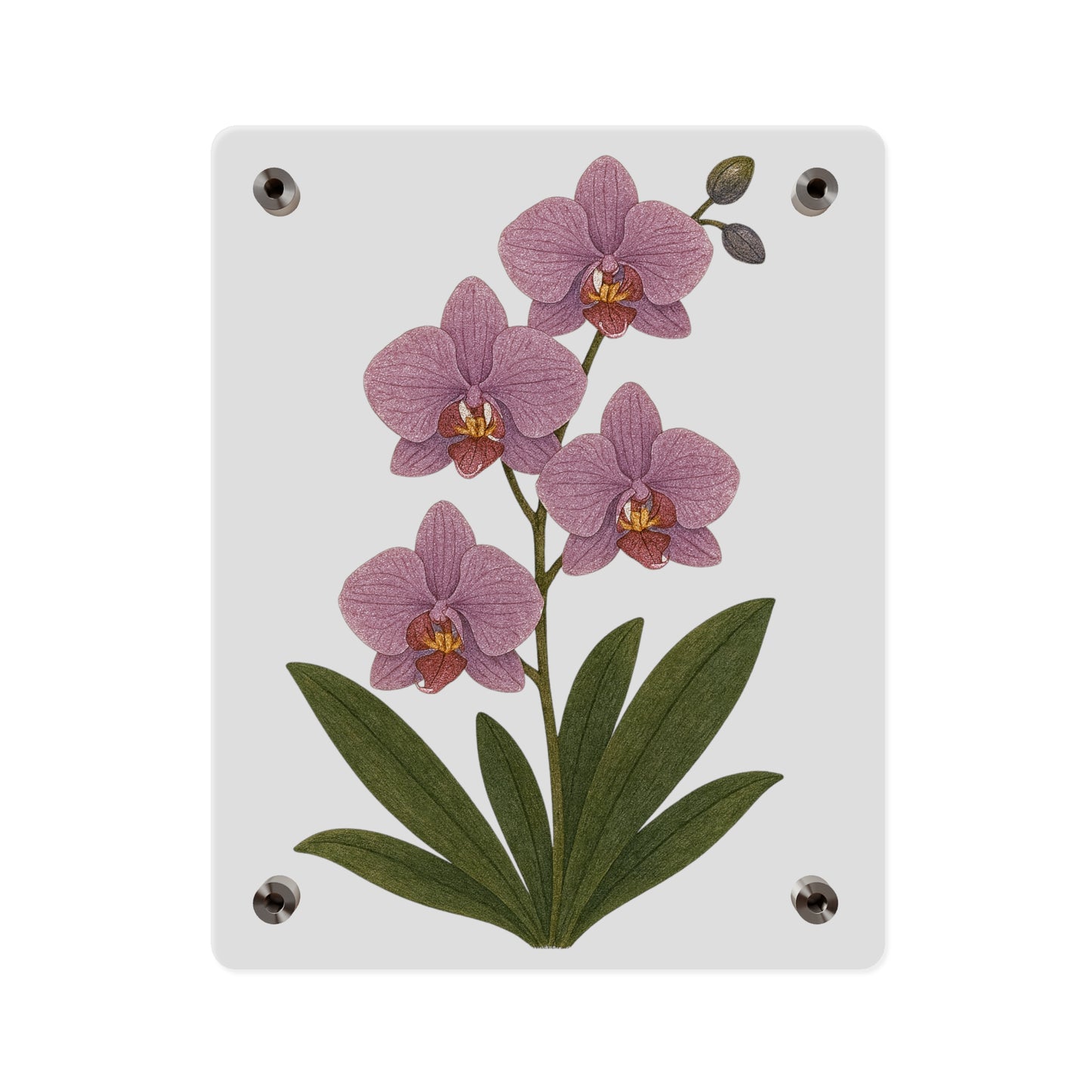 Pink Orchid Illustration Acrylic Wall Art Panel | Botanical Decor