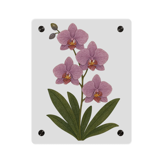 Pink Orchid Illustration Acrylic Wall Art Panel | Botanical Decor