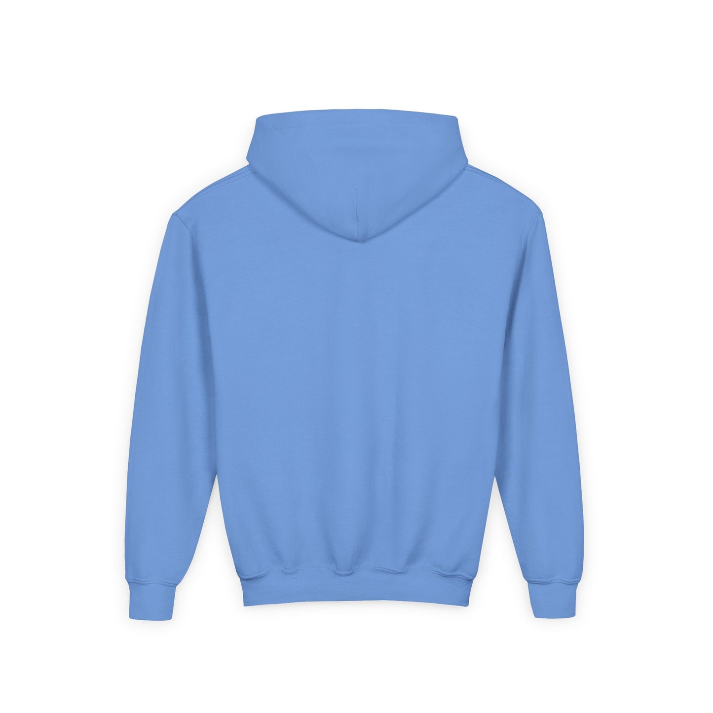 Youth Softball Hoodie Softball 101 Cute Pastel Softball Graphic with Bow