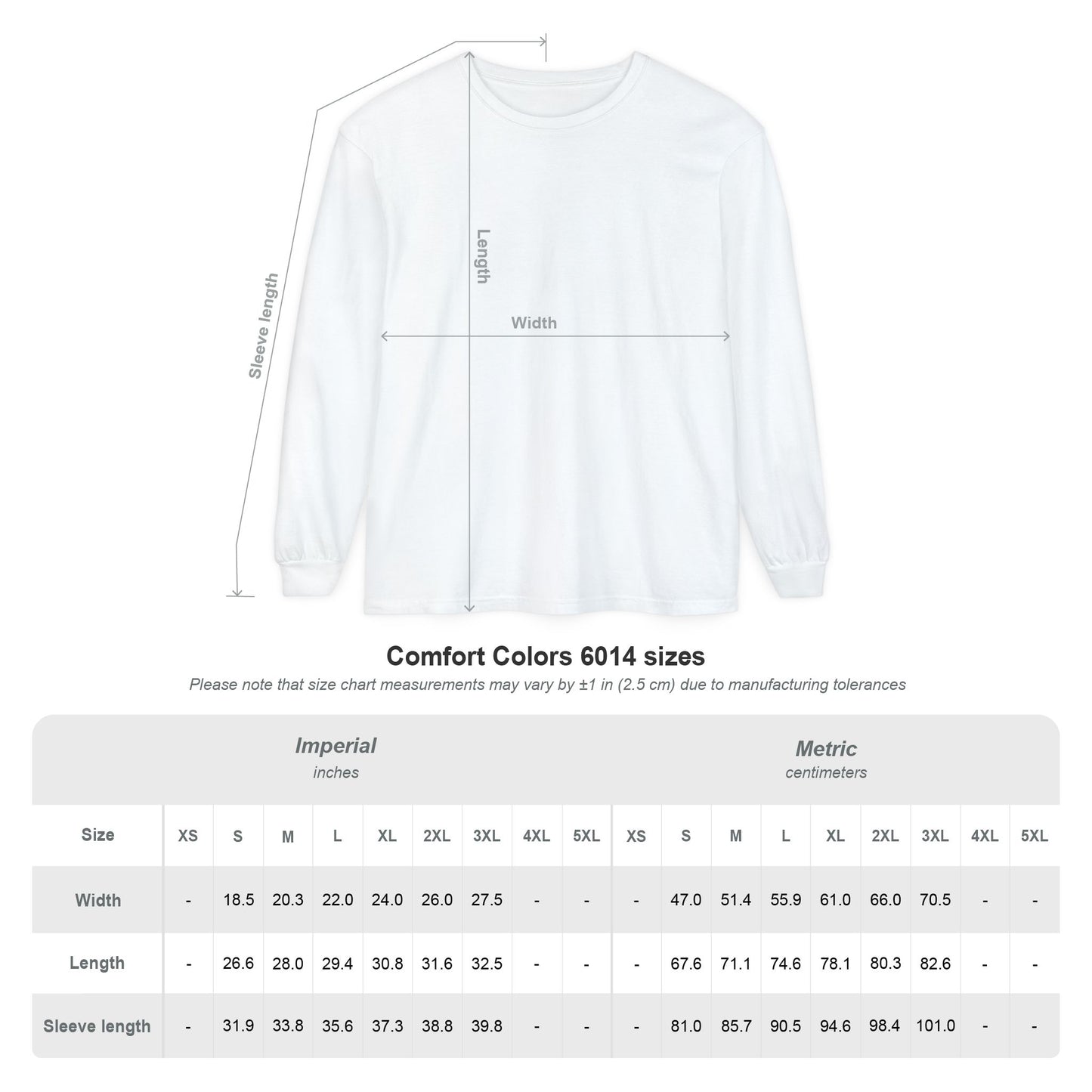 This Family Believes long sleeve shirt | Christmas nativity baby Jesus design