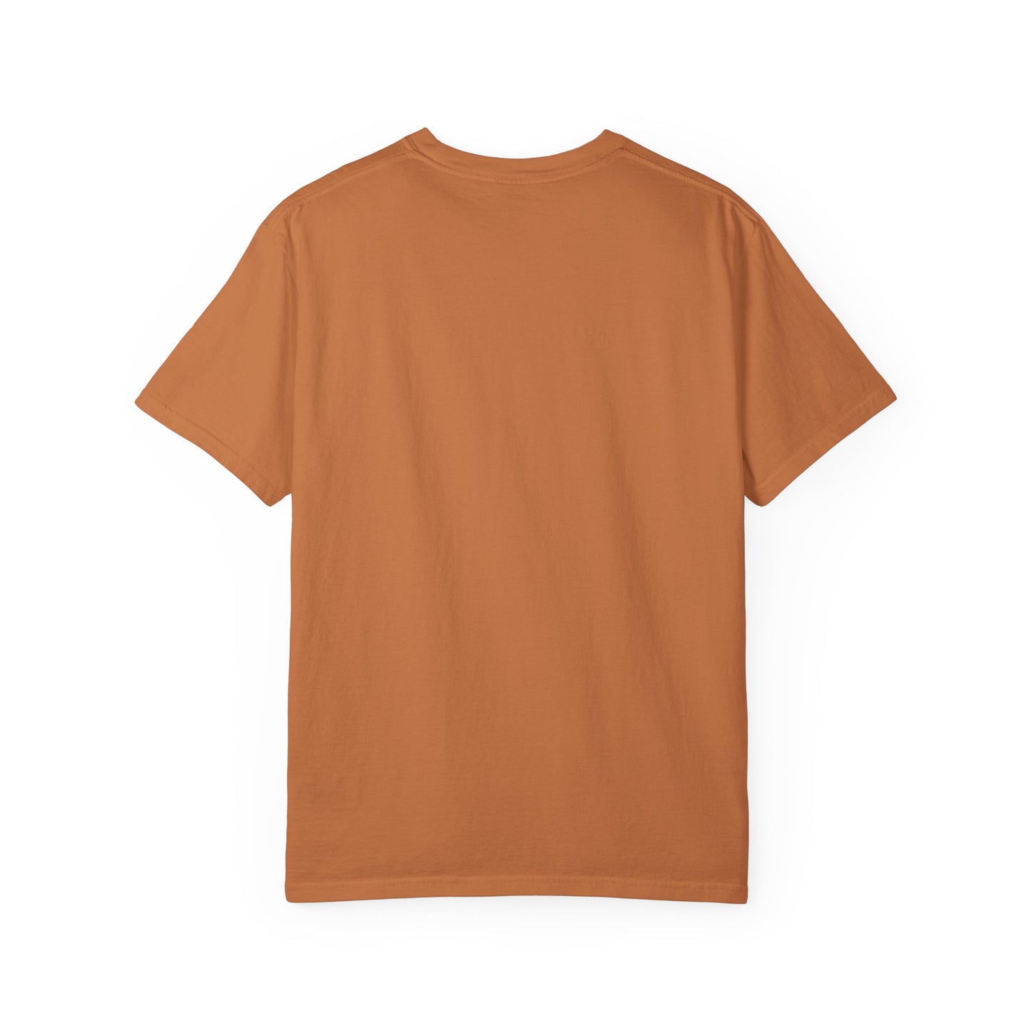 Jesus Created the Earth in 6-7 Days T‑Shirt