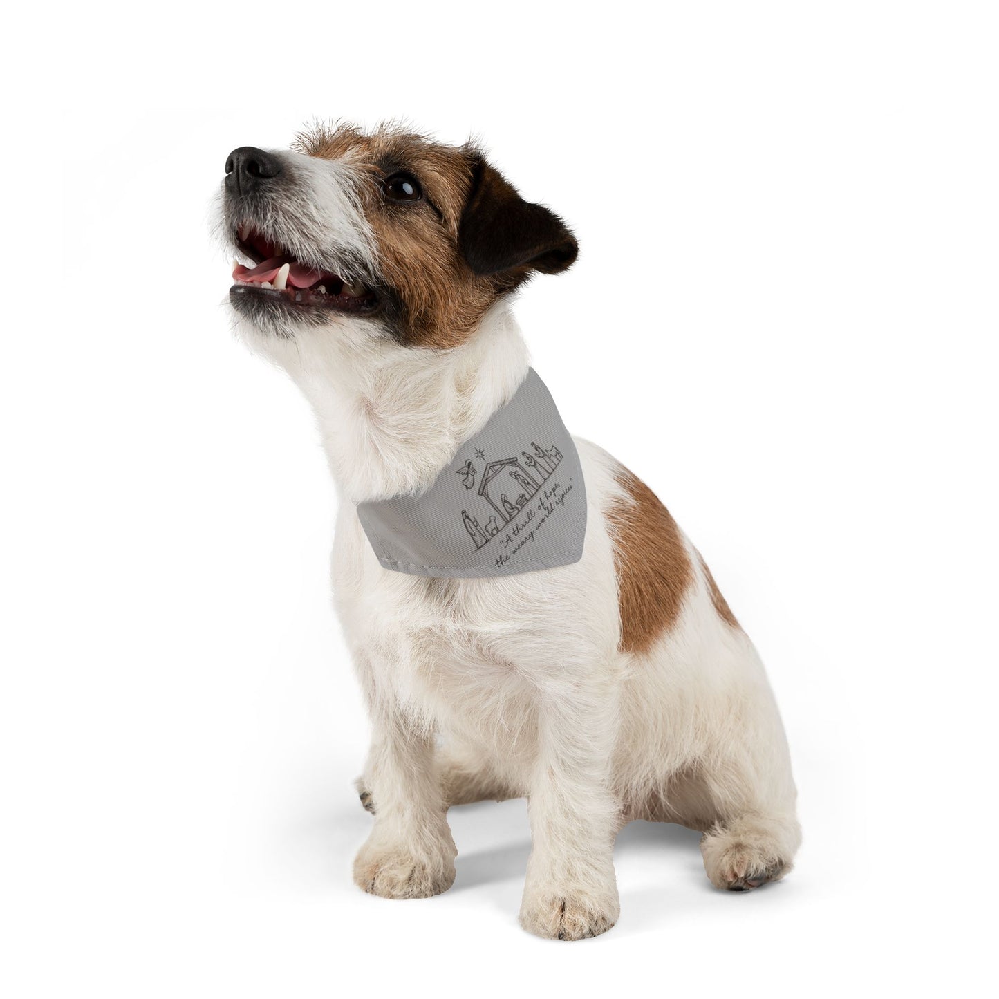 Pet Bandana Collar — 'A Thrill of Hope' Animal Bandana for Dogs & Cats